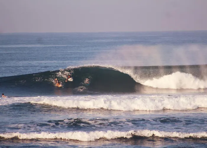 Alen's Stay&surf *