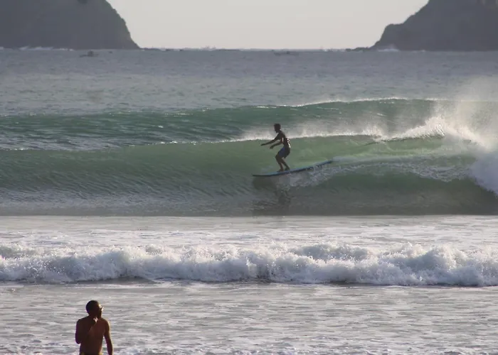 Alen's Stay&surf